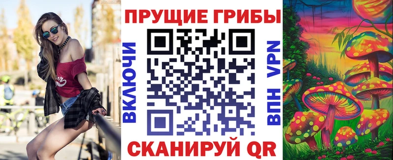 Купить  Кизилюрт  Псилоцибиновые грибы Psilocybine cubensis 